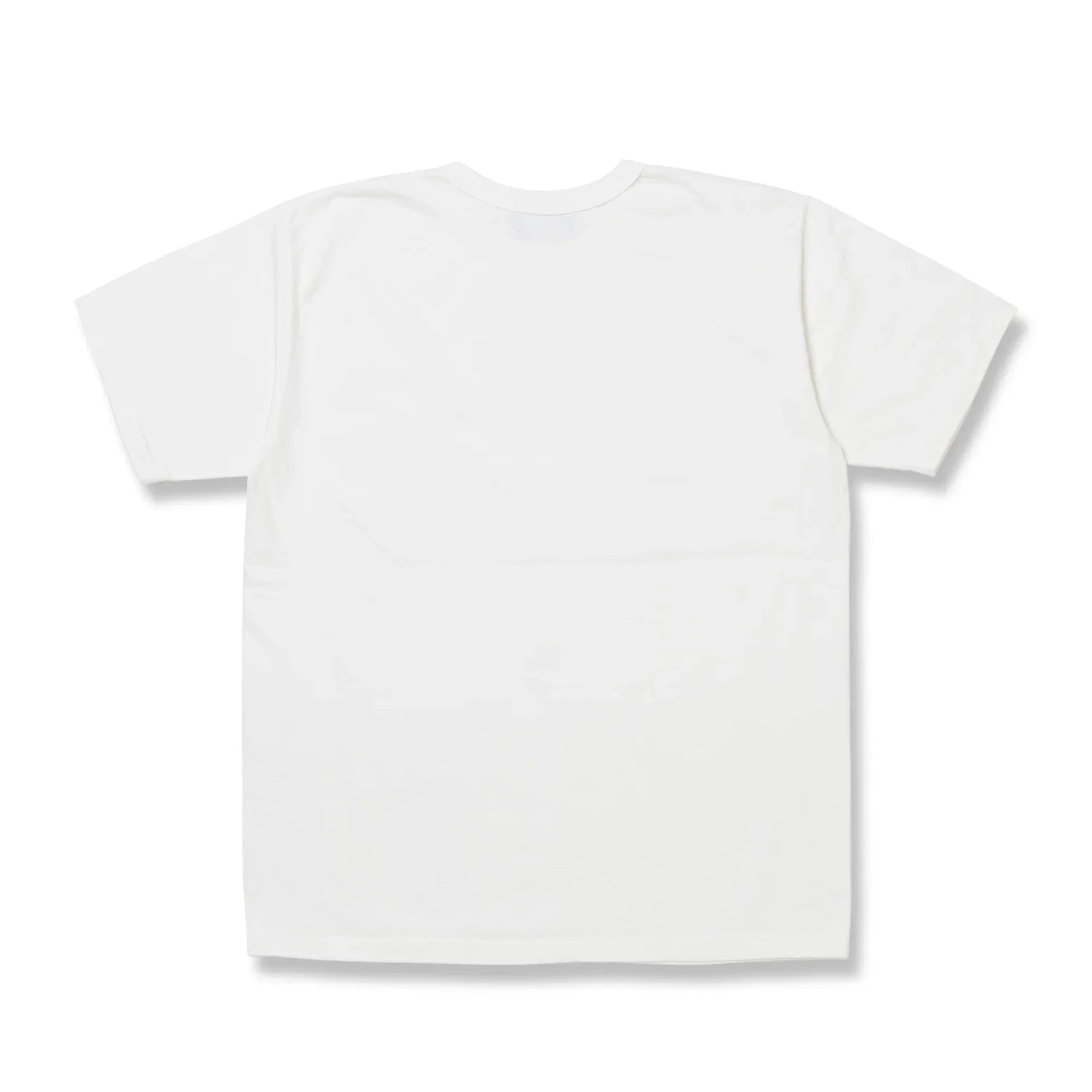 Studio D'Artisan 8173 Suvin Gold Tee - White