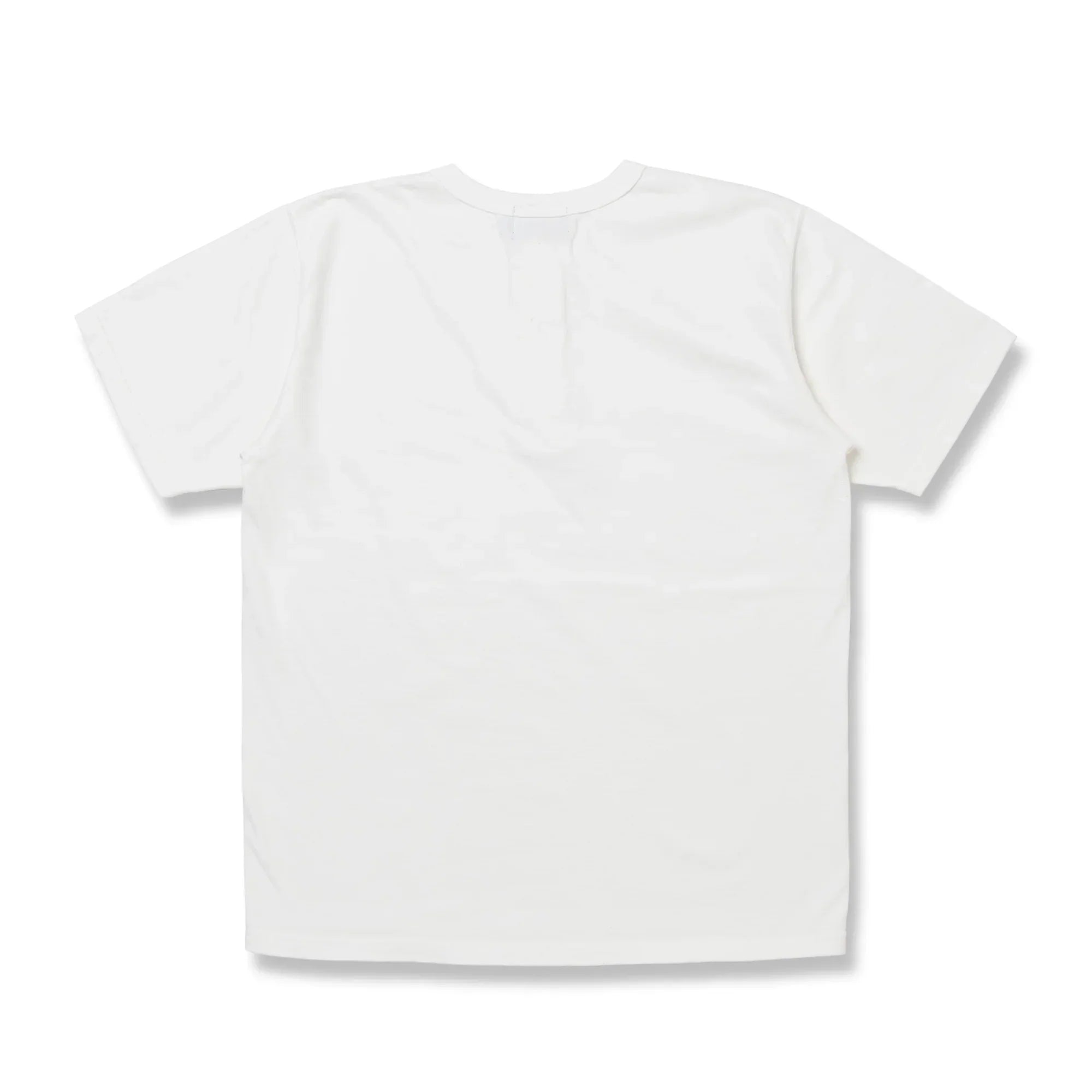 Studio D'Artisan 8174 Suvin Gold Henley Tee - White