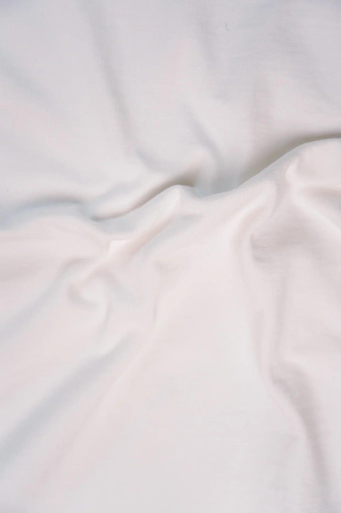 Studio D'Artisan 8173 Suvin Gold Tee - White